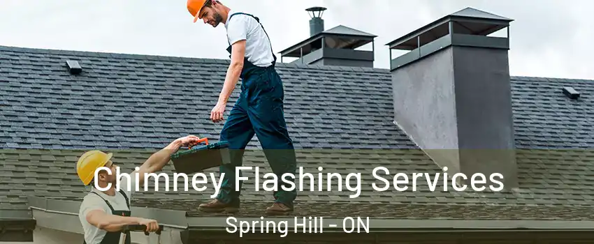 Chimney Flashing Services Spring Hill - ON