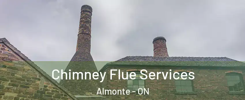  Chimney Flue Services Almonte - ON