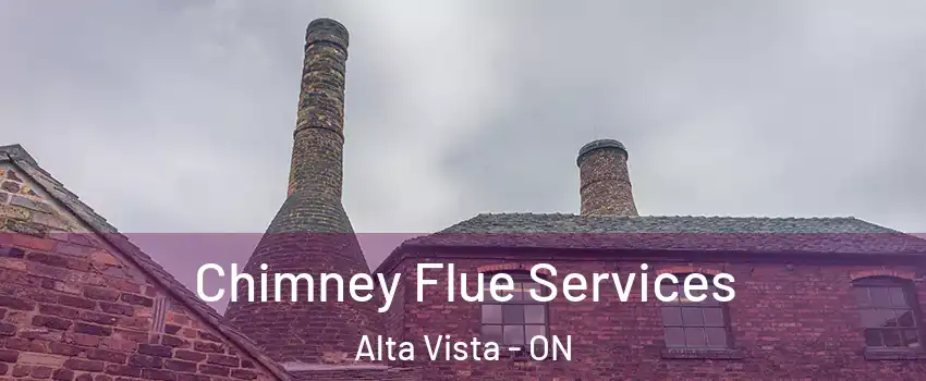  Chimney Flue Services Alta Vista - ON