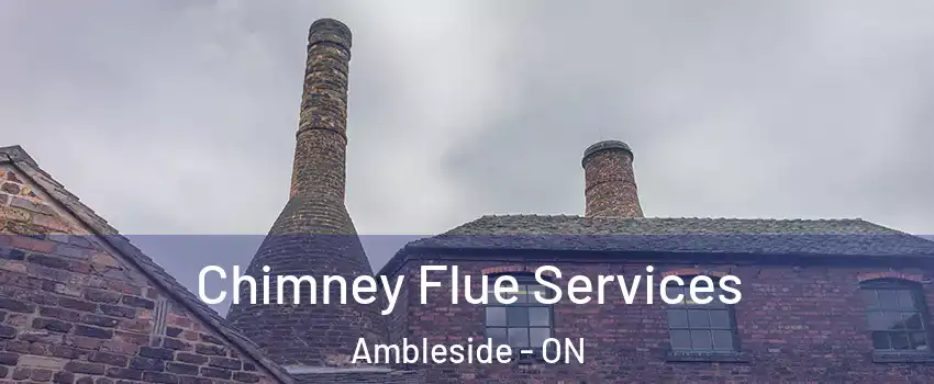  Chimney Flue Services Ambleside - ON