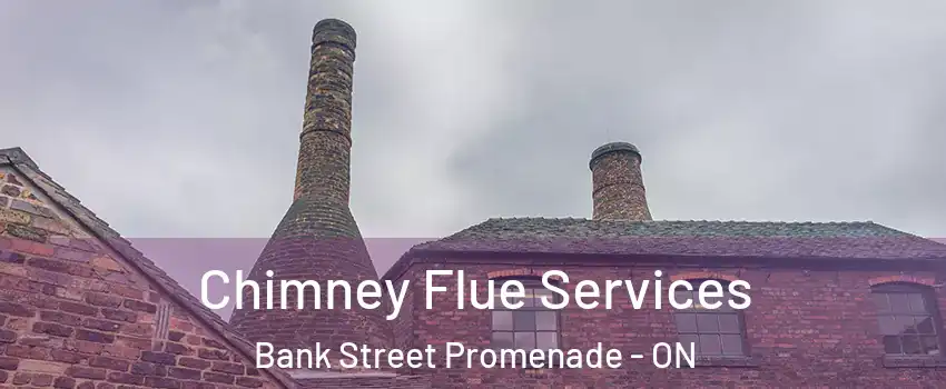  Chimney Flue Services Bank Street Promenade - ON