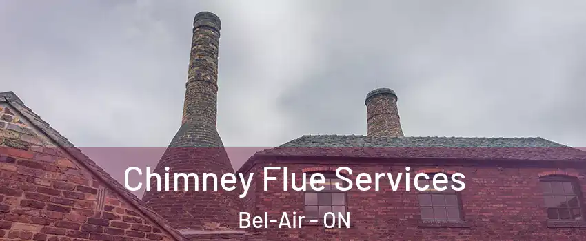  Chimney Flue Services Bel-Air - ON