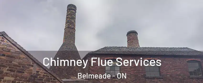  Chimney Flue Services Belmeade - ON