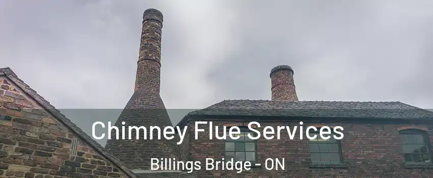  Chimney Flue Services Billings Bridge - ON