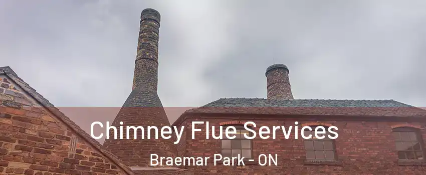  Chimney Flue Services Braemar Park - ON