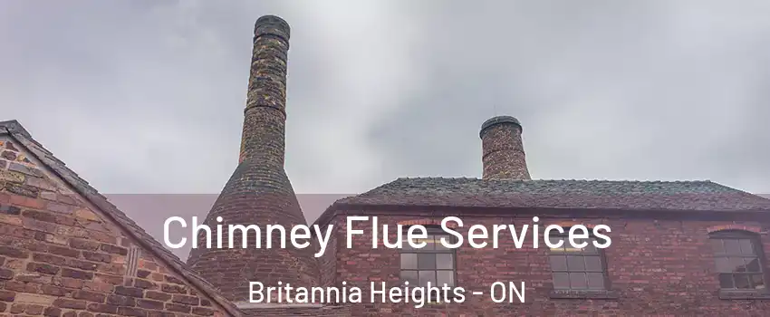  Chimney Flue Services Britannia Heights - ON