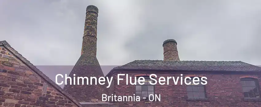  Chimney Flue Services Britannia - ON