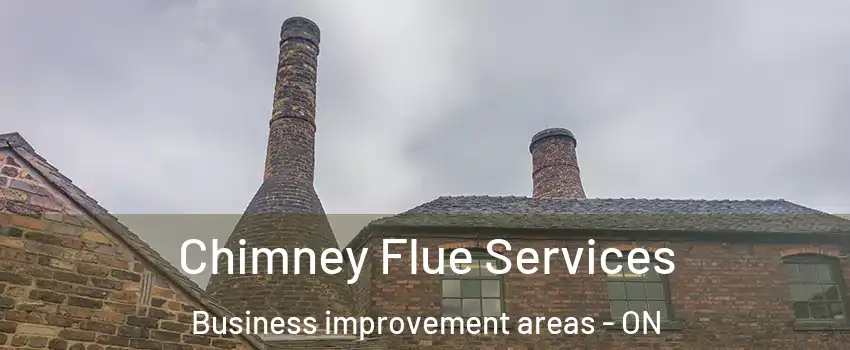  Chimney Flue Services Business improvement areas - ON