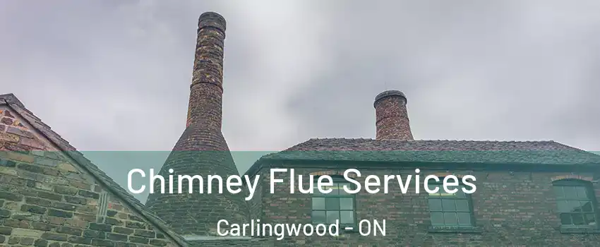  Chimney Flue Services Carlingwood - ON