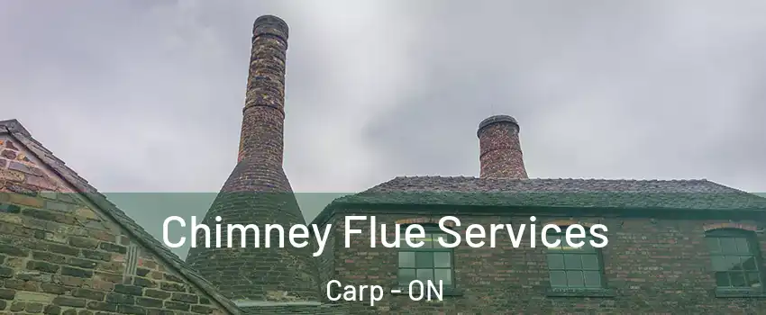  Chimney Flue Services Carp - ON