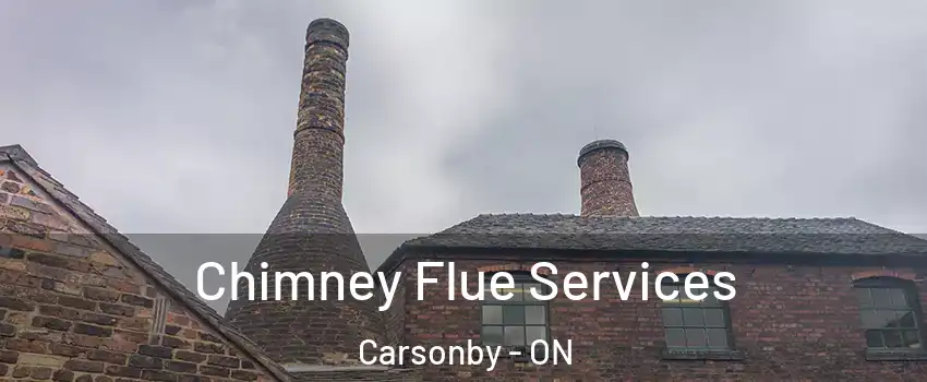  Chimney Flue Services Carsonby - ON