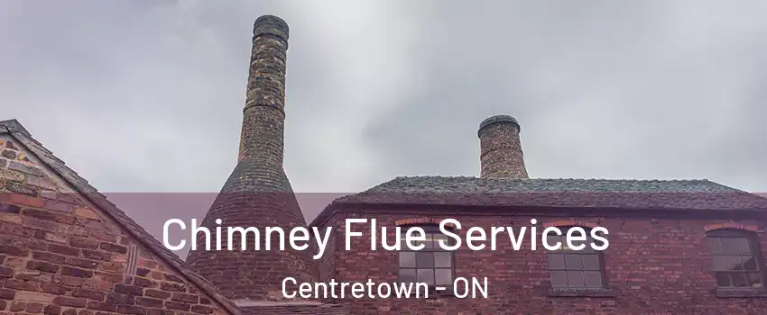  Chimney Flue Services Centretown - ON