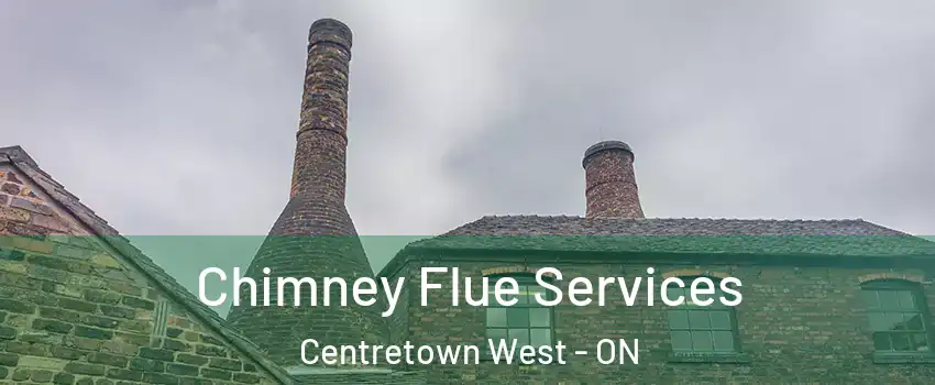  Chimney Flue Services Centretown West - ON