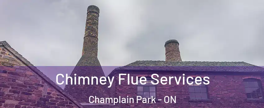  Chimney Flue Services Champlain Park - ON