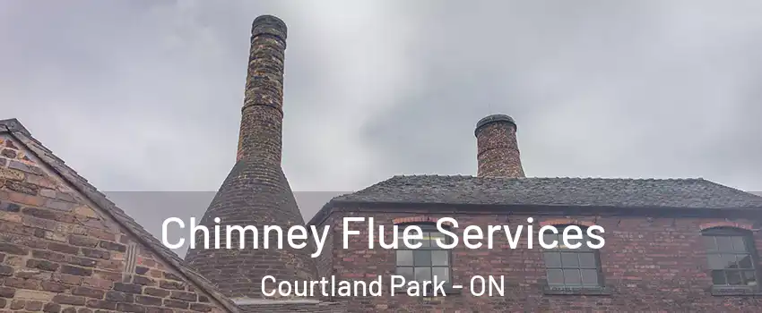  Chimney Flue Services Courtland Park - ON