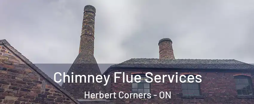  Chimney Flue Services Herbert Corners - ON