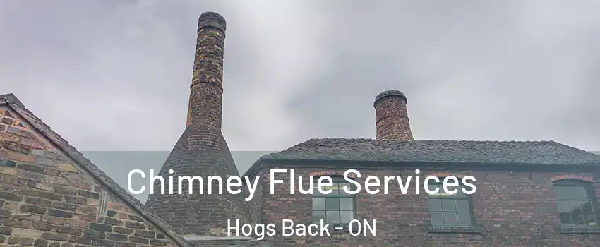  Chimney Flue Services Hogs Back - ON