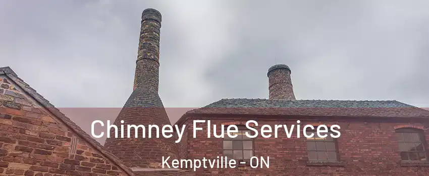  Chimney Flue Services Kemptville - ON