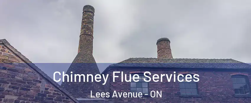  Chimney Flue Services Lees Avenue - ON