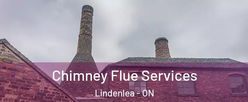  Chimney Flue Services Lindenlea - ON