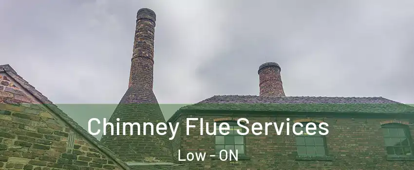  Chimney Flue Services Low - ON