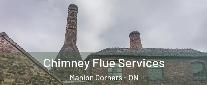  Chimney Flue Services Manion Corners - ON