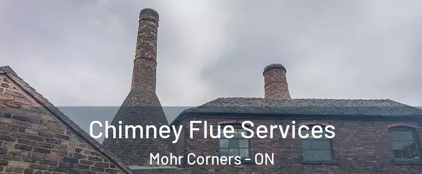  Chimney Flue Services Mohr Corners - ON