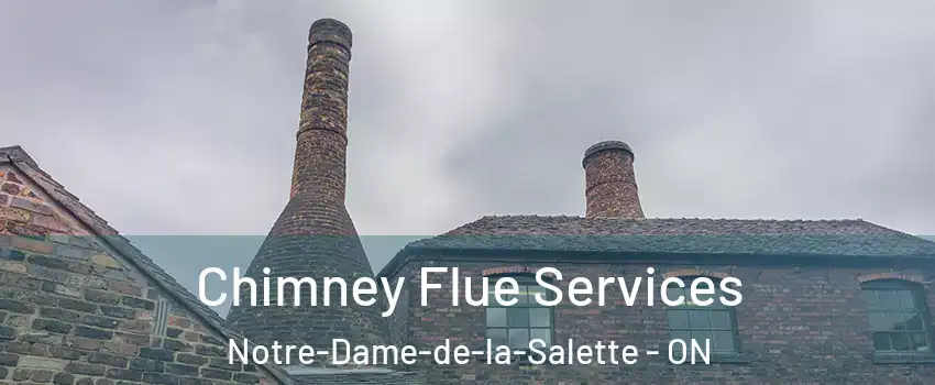  Chimney Flue Services Notre-Dame-de-la-Salette - ON