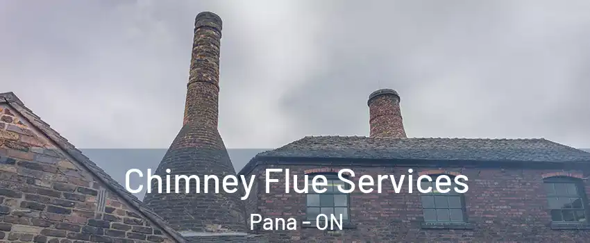  Chimney Flue Services Pana - ON