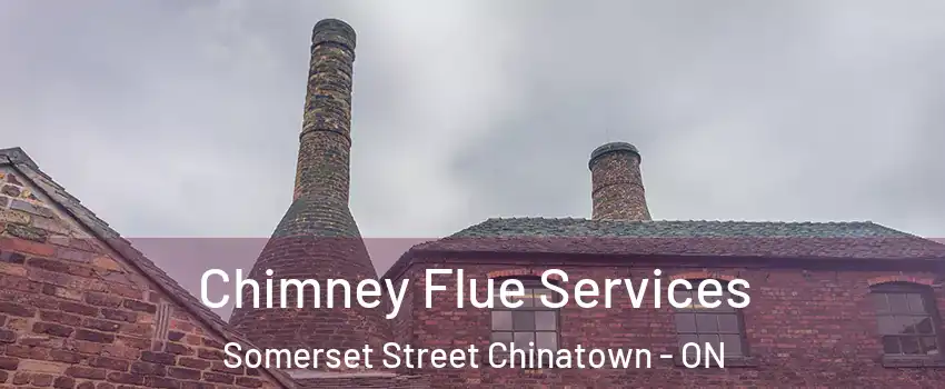  Chimney Flue Services Somerset Street Chinatown - ON