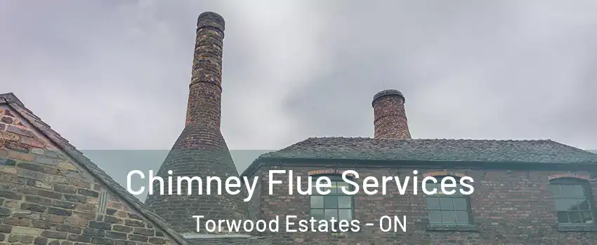  Chimney Flue Services Torwood Estates - ON