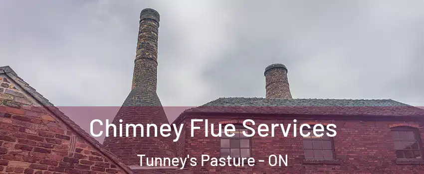  Chimney Flue Services Tunney's Pasture - ON