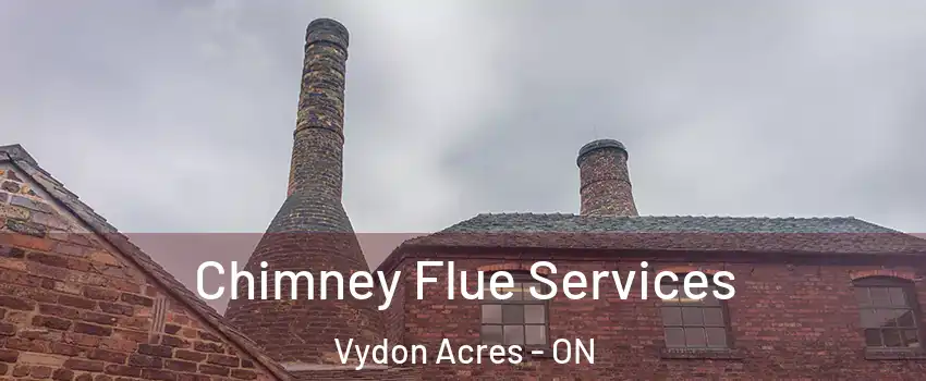  Chimney Flue Services Vydon Acres - ON