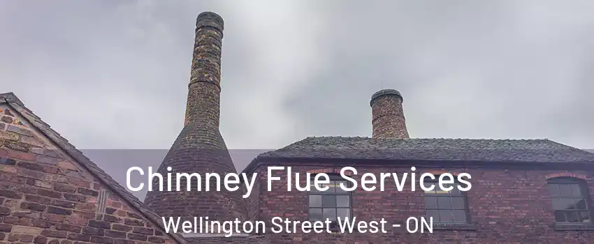  Chimney Flue Services Wellington Street West - ON