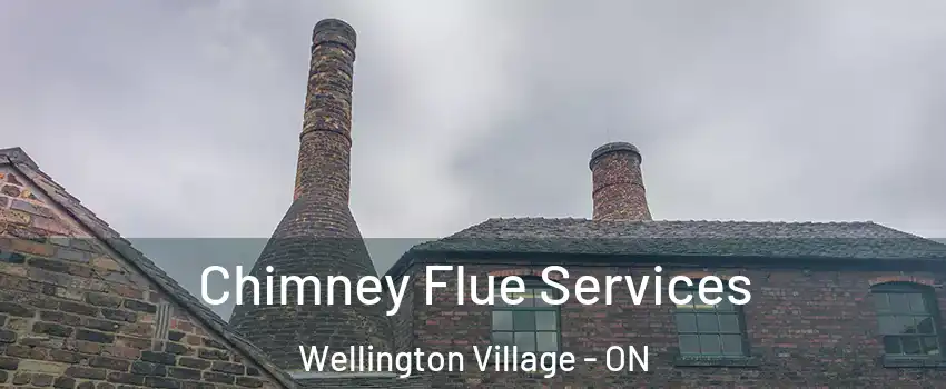  Chimney Flue Services Wellington Village - ON