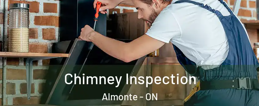  Chimney Inspection Almonte - ON