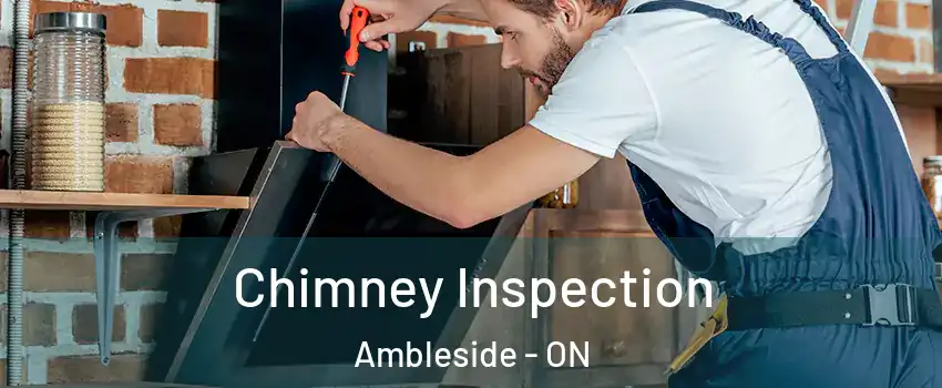  Chimney Inspection Ambleside - ON