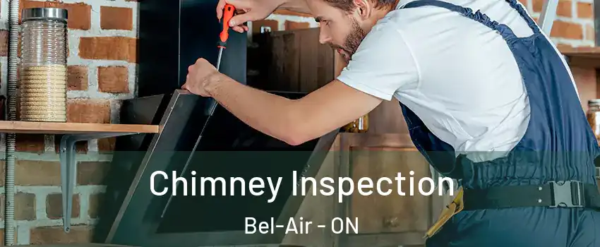  Chimney Inspection Bel-Air - ON