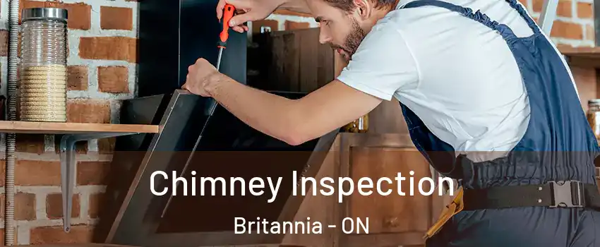  Chimney Inspection Britannia - ON