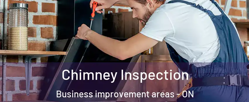  Chimney Inspection Business improvement areas - ON