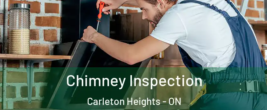  Chimney Inspection Carleton Heights - ON