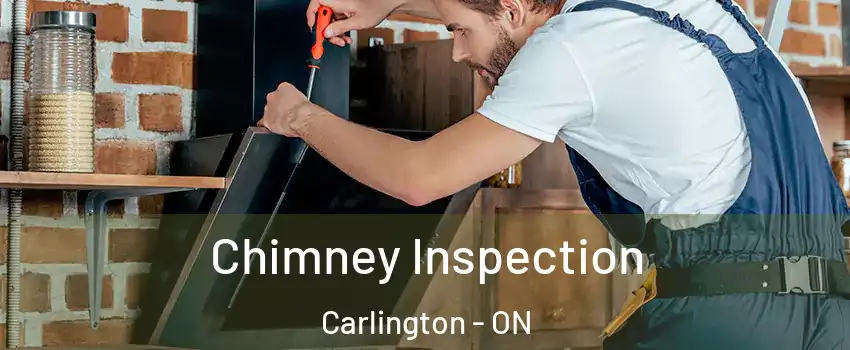  Chimney Inspection Carlington - ON