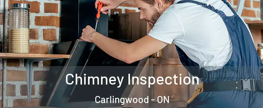  Chimney Inspection Carlingwood - ON