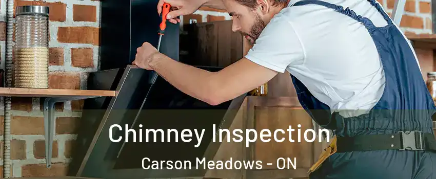  Chimney Inspection Carson Meadows - ON