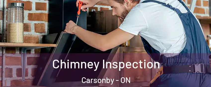  Chimney Inspection Carsonby - ON