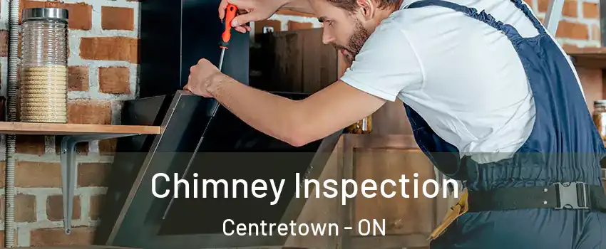  Chimney Inspection Centretown - ON