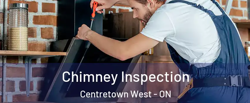  Chimney Inspection Centretown West - ON