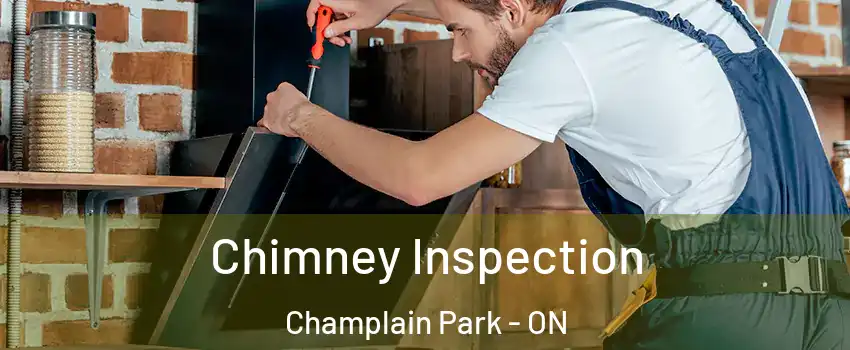  Chimney Inspection Champlain Park - ON