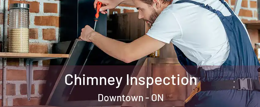  Chimney Inspection Downtown - ON