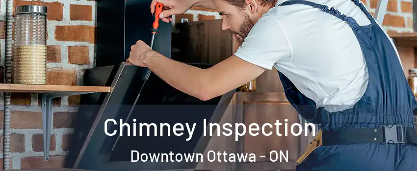  Chimney Inspection Downtown Ottawa - ON